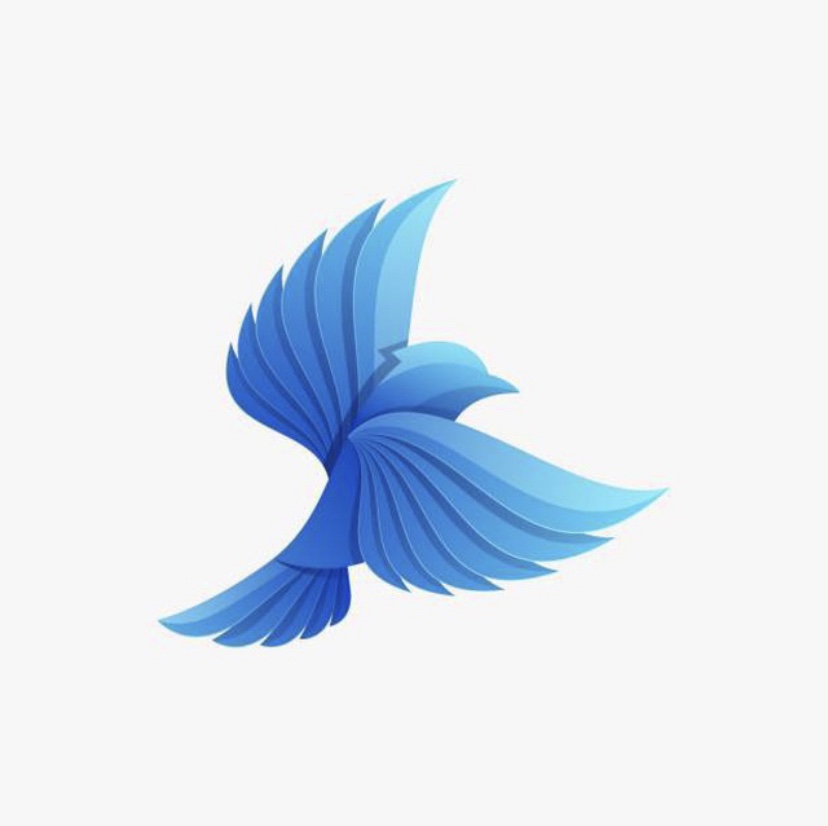 JYP 주가는 어디까지? (Feat. 에스테틱)_230521 by Jay